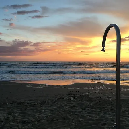 Milena Beach * Viareggio
